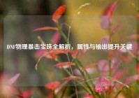 DNF物理暴击宝珠全解析，属性与输出提升关键