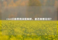 CSGO注册费用深度解析，是否需要花钱？