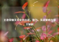 王者荣耀关羽全肉出装，魅力、实战策略与铭文解析