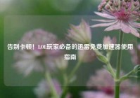 告别卡顿！LOL玩家必备的迅雷免费加速器使用指南