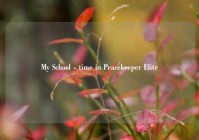 My School - time in Peacekeeper Elite