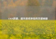 CSGO改键，提升游戏体验的关键秘籍