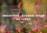揭秘白曼巴布莱恩·斯卡拉布莱恩，传奇篮球印记与名称含义
