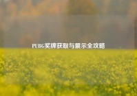 PUBG奖牌获取与展示全攻略
