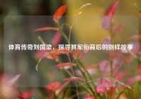 体育传奇刘国梁，探寻其军衔背后的别样故事