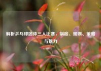 解析乒乓球团体三人比赛，制度、规则、策略与魅力