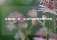逆战与老八版，2014年的网络文化奇妙碰撞