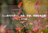 Steam账号关联VAC，风险、影响、规避指南及操作方法