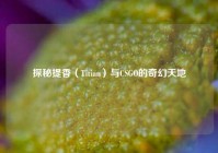 探秘提香（Titian）与CSGO的奇幻天地