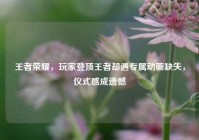 王者荣耀，玩家登顶王者却遇专属动画缺失，仪式感成遗憾