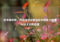 中华城市吧，网络城市话题社区中的多元镜像与对北京的态度