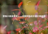 警惕小黑盒售卖Steam余额风险及价值计算疑问