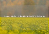 Steam，Yóu Xì Ài Hào Zhě De Shù Zì Yú Lè Bǎo Kù