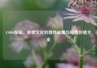 CSGO车贴，游戏文化的独特延展与贴纸价格大全