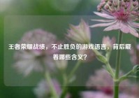王者荣耀战绩，不止胜负的游戏语言，背后藏着哪些含义？