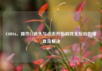 COD16，操作UI消失与点击开始游戏无反应的排查及解决