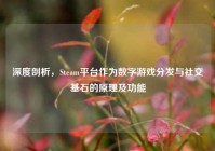 深度剖析，Steam平台作为数字游戏分发与社交基石的原理及功能