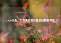 CSGO炸鱼，引发失衡游戏体验的现象探究