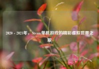2020 - 2021年，Steam单机游戏的精彩虚拟世界之旅