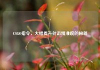 CSGO指令，大幅提升射击精准度的秘籍