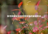 探寻阿根廷绿茵传奇球星的璀璨风采