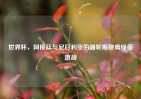 世界杯，阿根廷与尼日利亚的潘帕斯雄鹰绿茵激战