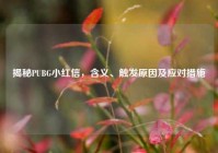 揭秘PUBG小红信，含义、触发原因及应对措施