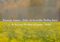 Passionate Counter - Strike: An Irresistible Thrilling Journey. Do You Love This Kind of Counter - Strike?