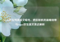 Steam好友列表英文暗号，跨区联机的温暖纽带与Steam好友英文表达解析