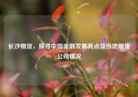 长沙期货，探寻中部金融发展亮点及当地期货公司情况