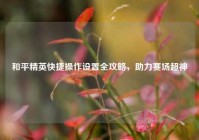 和平精英快捷操作设置全攻略，助力赛场超神