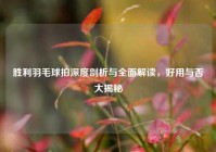胜利羽毛球拍深度剖析与全面解读，好用与否大揭秘