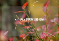 CF中风之子获取攻略揭秘