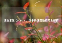 绝地求生（PUBG），跳伞快速落地技巧全解析