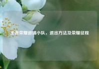王者荣耀追捕小队，退出方法及荣耀征程