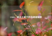 CSGO，简洁之美下的常用键解析