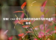惊爆！CSGO 中令人叫绝的准心操作与好用准心推荐