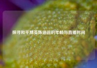 探寻和平精英陈逗逗的年龄与直播时间