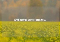 逆战游戏开启时的退出方法