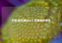 平板4能否畅玩CF？深度剖析解答