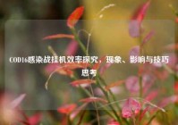 COD16感染战挂机效率探究，现象、影响与技巧思考