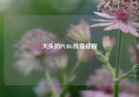 大头的PUBG传奇征程