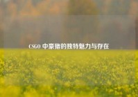 CSGO 中豪猪的独特魅力与存在