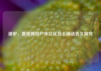 港驴，香港独特户外文化及上海话含义探究