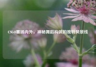 CSGO赛场内外，神秘舞蹈构筑的独特风景线