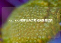 PGL，CSGO赛事主办方及相关国籍疑问