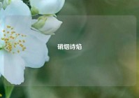 硝烟诗焰