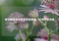 和平精英背包皮肤获取秘籍，打造个性装备
