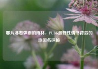 那片淋着弹雨的雨林，PUBG最野性情书背后的地图名探秘