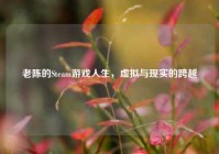 老陈的Steam游戏人生，虚拟与现实的跨越